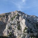 IMG_1250