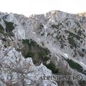 IMG_1254