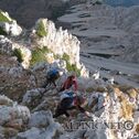 IMG_1299