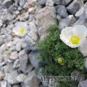 IMG_2940_lo_dxo