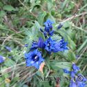 IMG_2944_lo_dxo