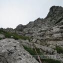IMG_2920