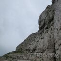 IMG_2939