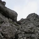 IMG_2946