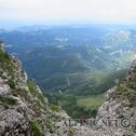 IMG_2954