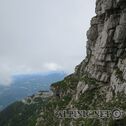 IMG_2959