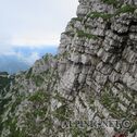 IMG_2963