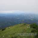 IMG_2972