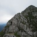 IMG_2987