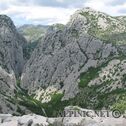 IMG_4956