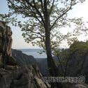 IMG_6741