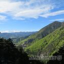 IMG_0302