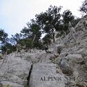 IMG_0304