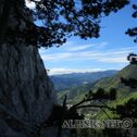 IMG_0309