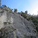 IMG_0313