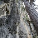 IMG_0319
