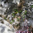 IMG_0325