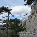 IMG_0332
