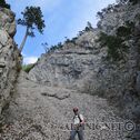 IMG_0346