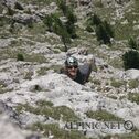IMG_5446