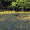 IMG_8171_aDxO