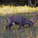 IMG_8174_aDxO