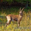 IMG_8175_aDxO