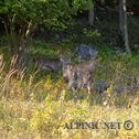 IMG_8176_aDxO