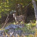 IMG_8177_aDxO