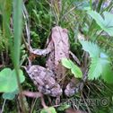 IMG_3170_lo_dxo