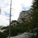 IMG_4762