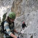 IMG_4786