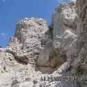 IMG_4796