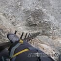 IMG_4806