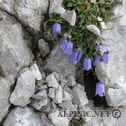 img_5850