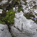 img_5854
