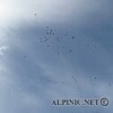 img_5870