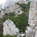 IMG_5970