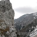 IMG_5972