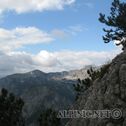 IMG_5699