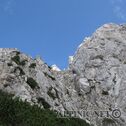 IMG_5712