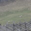 DSC02335