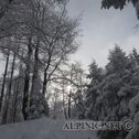 IMG_1175