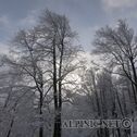 IMG_1178