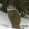 IMG_6422_DxO