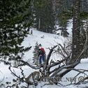 IMG_6423_DxO