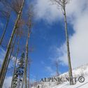 IMG_3981_lo_dxo