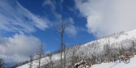 Terzer Göller Südkar 1729m / 700 Hm / Mürzsteger Alpen