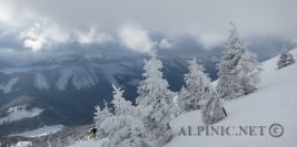 Terzer Göller Südkar 1729m / 700 Hm / Mürzsteger Alpen