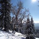 IMG_20180224_133551_lo_dxo